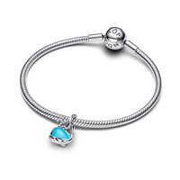 Charm Pandora Donna in Argento 793822C01 - 793822C01